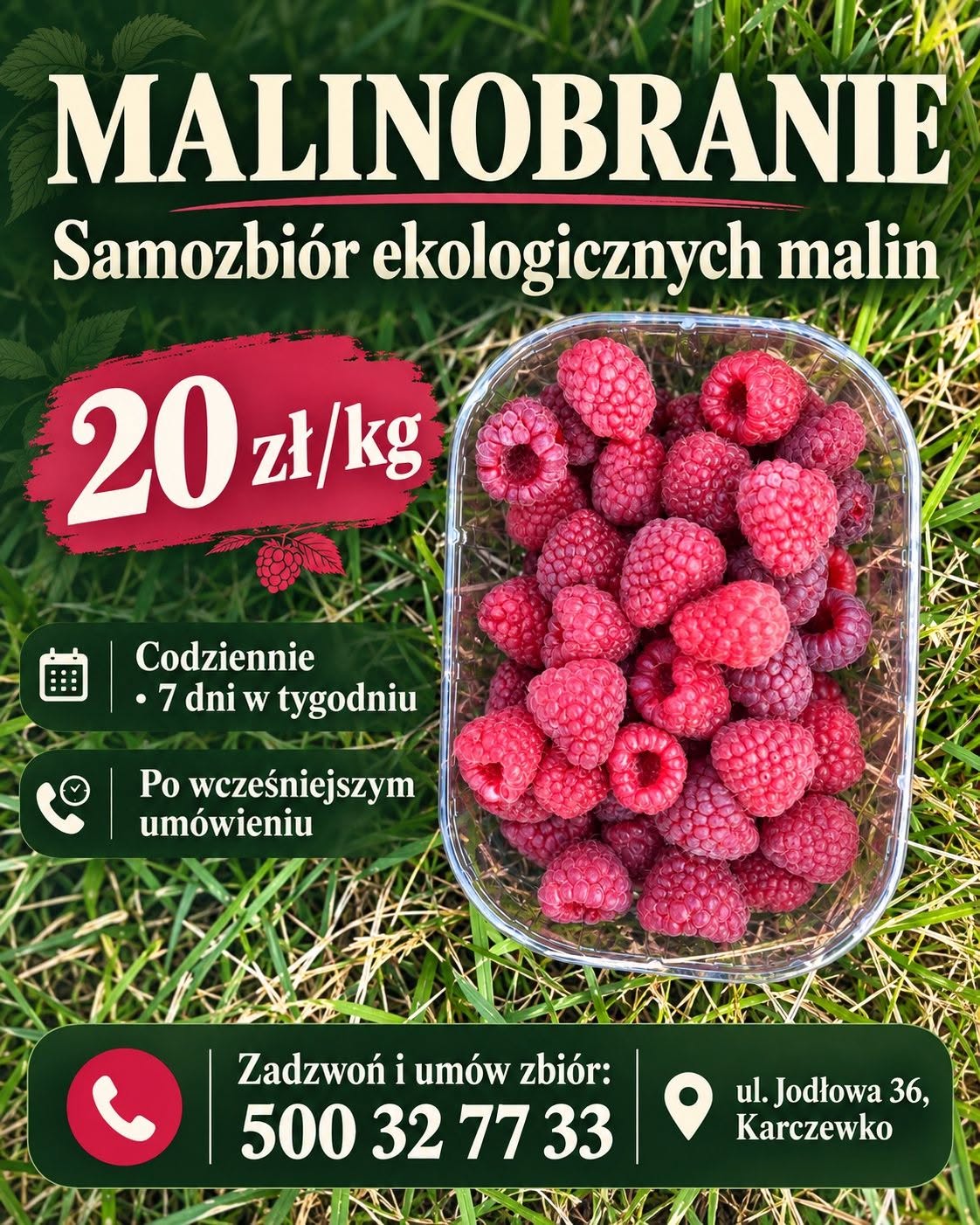 Ilustracyjna grafika malinobrania opublikowana na Facebooku plantacji